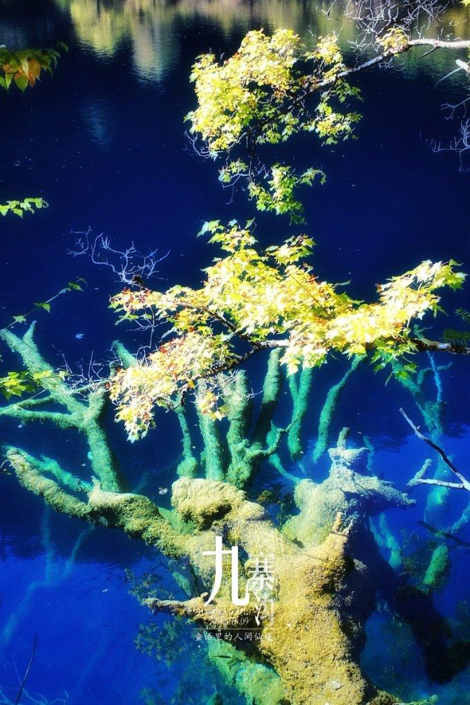 《万里归途》发布最新花絮，为何王俊凯的电影比易烊千玺的票房低那么多？游戏画面